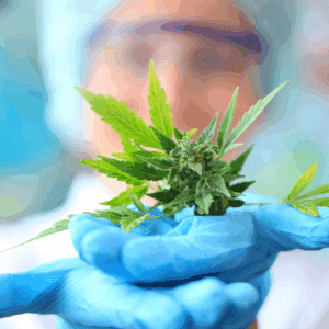 Cannabis Specialty Pharmacist